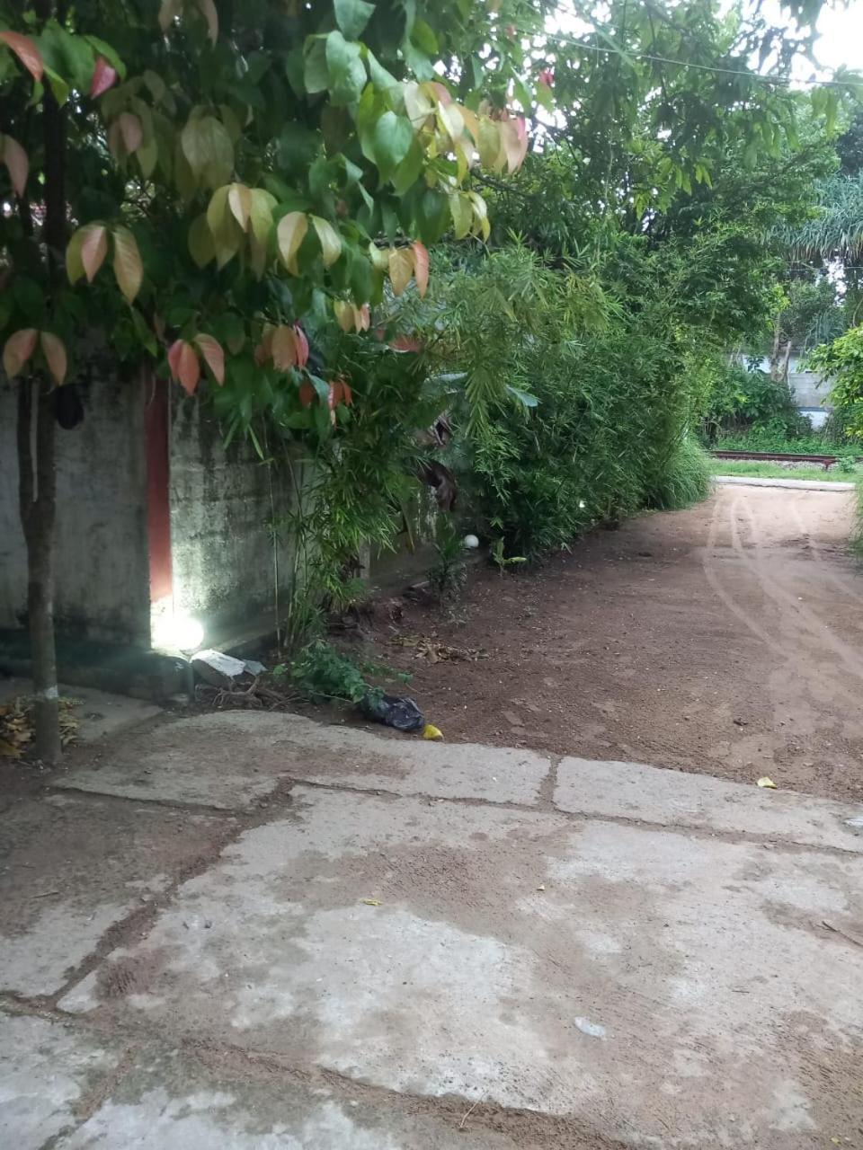 Suninn Hostel And Surf School Weligama Zewnętrze zdjęcie